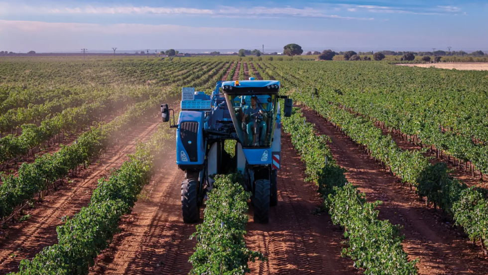 Vendimiadora New Holland.