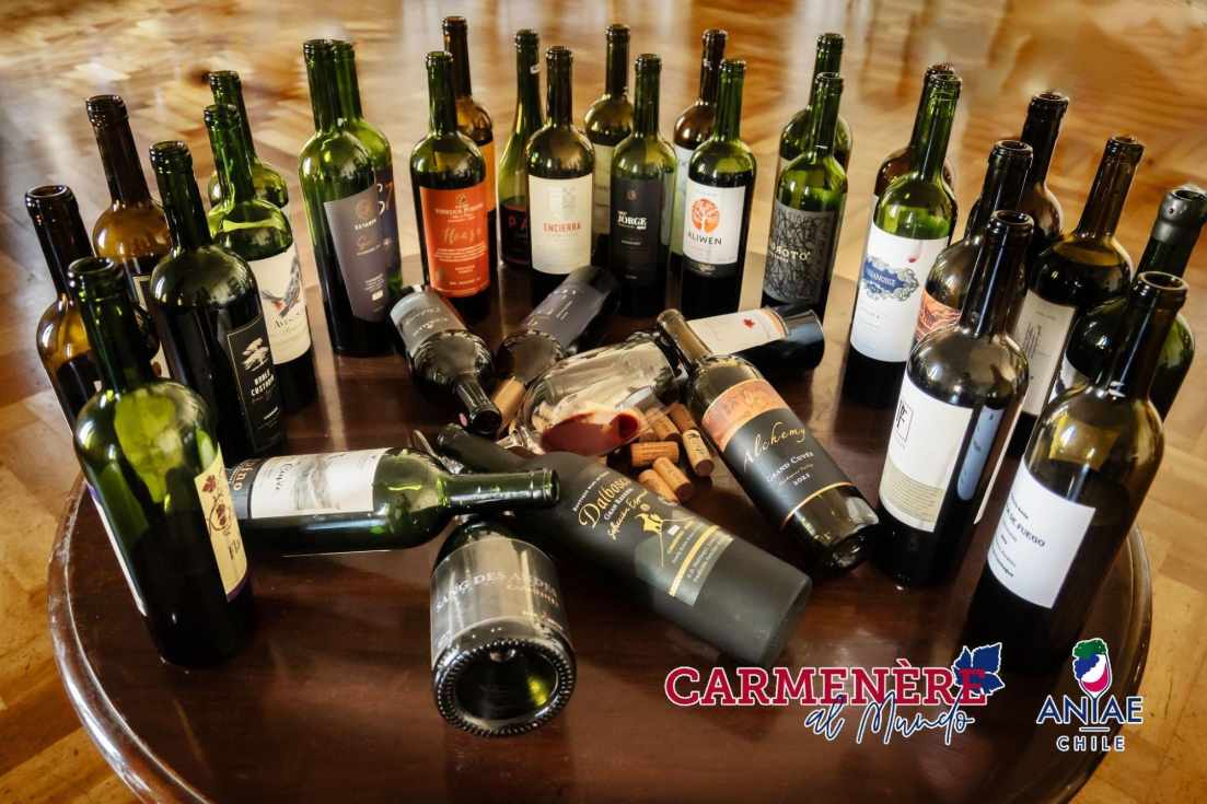 El valor del Carmenère chileno en el mercado internacional