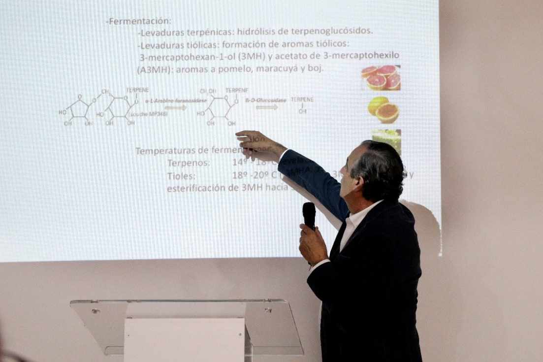 Jos&eacute; Hidalgo, durante su ponencia.