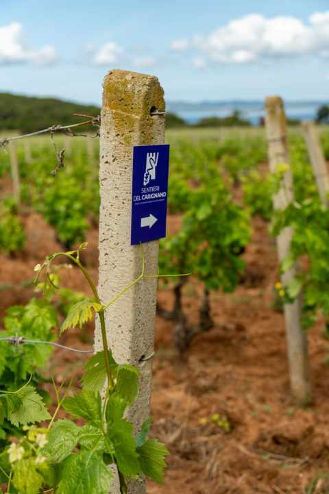 Señalización del Camino Minero de Santa Bárbara. FOTO: Davide Marica.