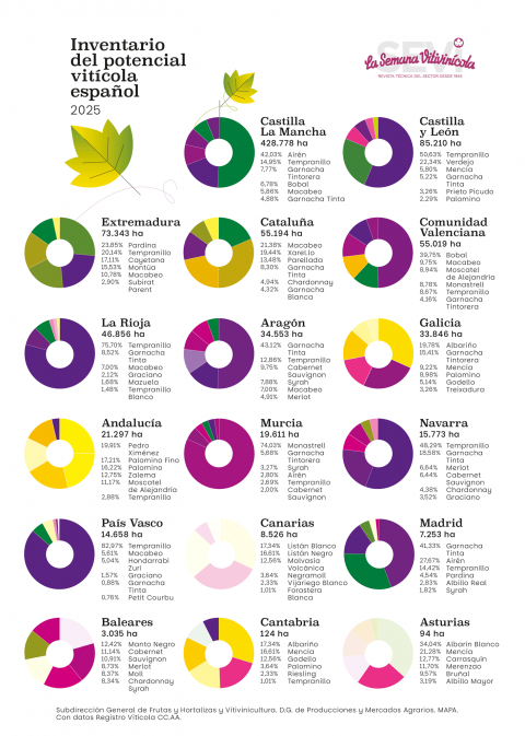 Infografía: Principales variedades de uva de vinificación por CC.AA. (a 31 de julio de 2025)