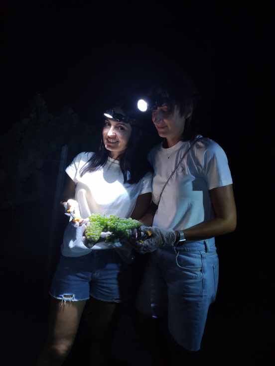 [Img #14783]