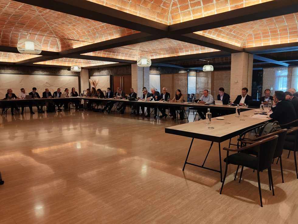 Comisi&oacute;n Ejecutiva de la FEV.