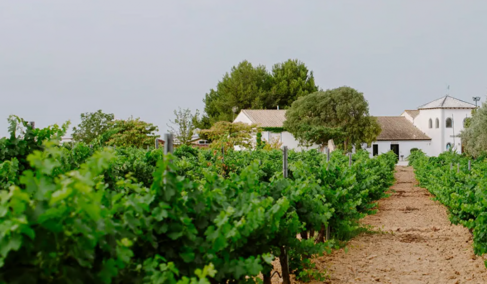 Exterior de la bodega Pago de Tharsys.